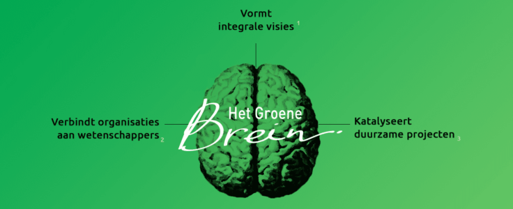 Het Groene Brein – column